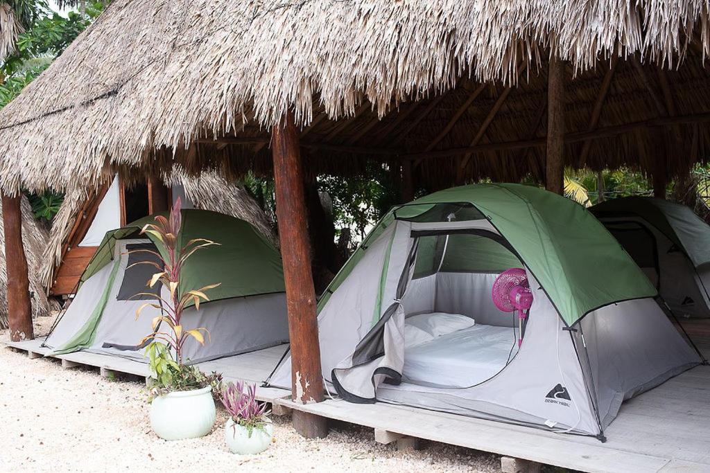 Mapache Hostel & Camping Остров Холбокс Экстерьер фото