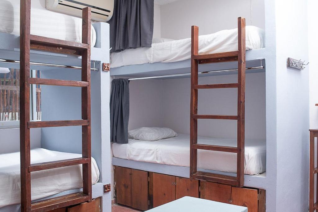 Mapache Hostel & Camping Остров Холбокс Экстерьер фото